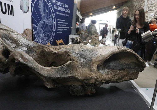 Kiedy Góry Świętokrzyskie były na równiku? Odpowiedź na Geofestiwalu