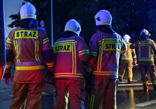 Spłonęło ponad 300 hektarów lasu. Nowe informacje ws. pożaru pod Warszawą
