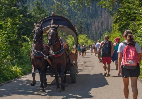Morskie Oko znowu otwarte, wracają busy. Tyle dutków za bilet