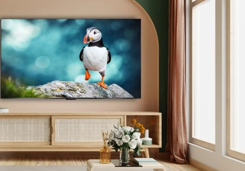 Solidny telewizor QLED 50 cali pochodzenia japońskiego w promocji za 1799 zł