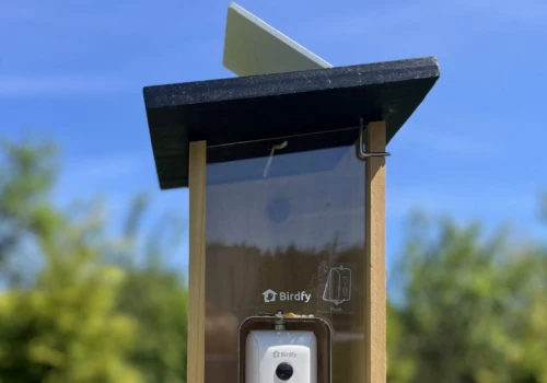 Karmnik z kamerą i AI. To prawie jak łapanie pokemonów