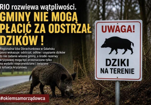 Gminy nie mogą płacić za odstrzał dzików!