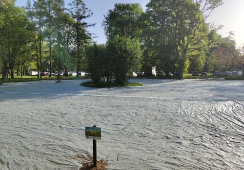 W Krakowie powstała antysmogowa łąka kwietna. Zajmuje ponad 1700 m²