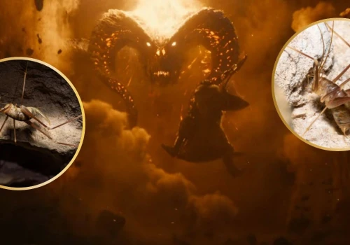 Przypomina pająka i zwie się na cześć demona z Tolkiena. Żyje w tunelu