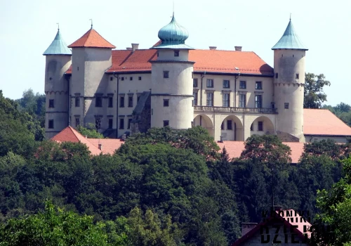 Majątek tego Polaka przewyższał budżety państw. Postawił zamek, który do dziś budzi podziw