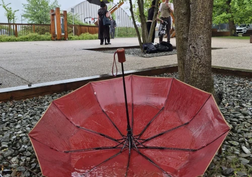 Będzie lało i może zagrzmieć. Ostrzeżenie meteorologiczne dla całego regionu