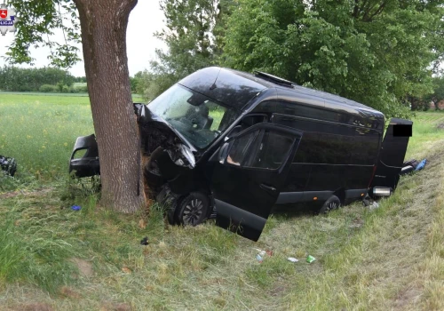 Bus uderzył w drzewo w powiecie hrubieszowskim. Pasażerki trafiły do szpitali