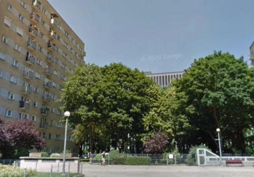 Wola. Chcą wyciąć 100 drzew, by wcisnąć nowy apartamentowiec. 