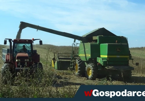 Nie będzie interwencyjnego skupu zbóż