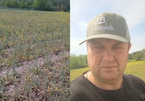 Rolnik apeluje do ministra: Robią z nas idiotów ws. suszy. Może pan skończy z tą patologią?