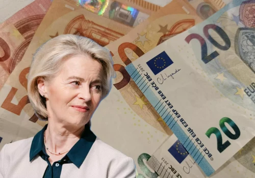 Ważą się losy dopłat po 2027 roku. Rolnicy alarmują Brukselę