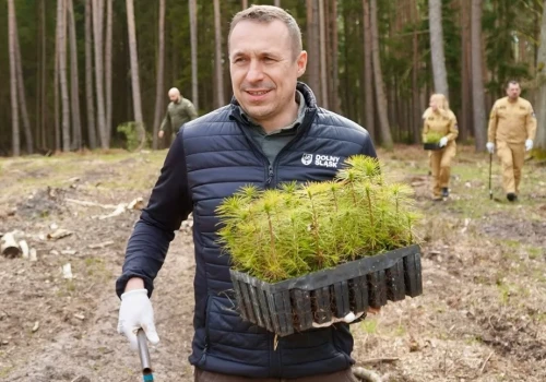 Pszczoły pod ochroną regionu. Milion złotych dla pszczelarzy
