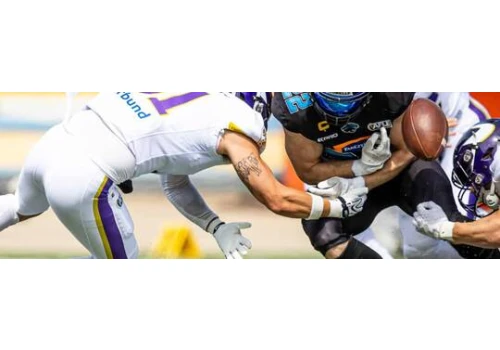 Panthers Wrocław musieli uznać wyższość Vienna Vikings