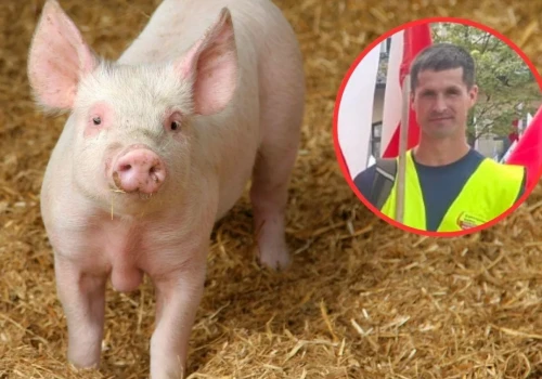 „Bałem się wyjść na podwórko”. Rolnik miał 8 kontroli w rok