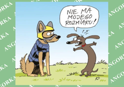 Polscy naukowcy tworzą specjalne hełmy i kamizelki dla psów służbowych