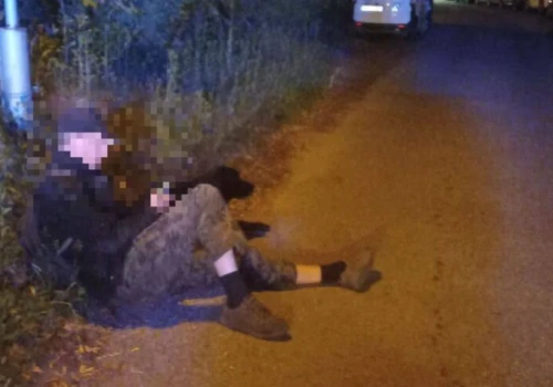 Zaskakująca sytuacja w Olsztynie. Nad leżącym przy jezdni mężczyzną czuwał pies