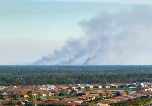 Dym, który atakuje mózg. Pożary lasów groźniejsze niż miejski smog