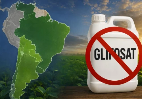 Brazylia ma ograniczyć pestycydy. Glifosat zostanie zakazany?
