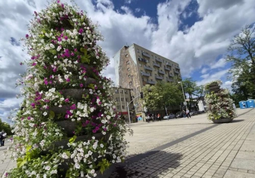 Kolorowa metamorfoza centrum Częstochowy. Ponad 2200 nowych roślin ozdobiło miasto