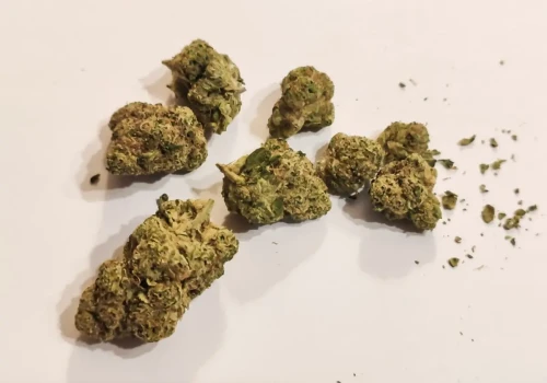 Electric Honeydew – sativa-dominant od Aurory o mocy 29%