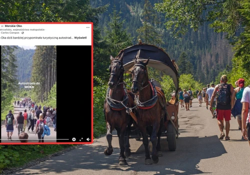 Pokazali nagranie z trasy nad Morski Oko. 