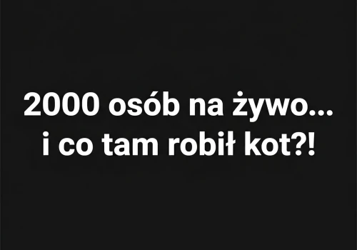 Podstawy OSINT i OPSEC: było nas ponad 2000!