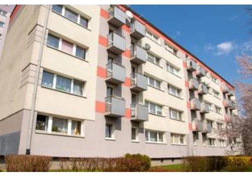 Bat na dzikich lokatorów? Właściciel zgłosi, nałożą grzywnę