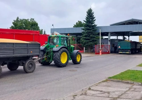Rolnicy trzymają zboże, a skupy czekają. Co dalej z cenami?