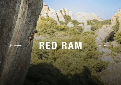 Alex Megos na „Red Ram” 9a+ | pierwsze powtórzenie