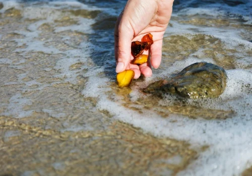 Skarb Bałtyku w zasięgu ręki. Jak znaleźć bursztyn na plaży?