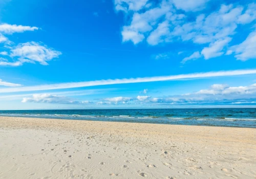 Morze Bałtyckie skrywa prawdziwe skarby. Dzikie plaże w Polsce bez tłumów