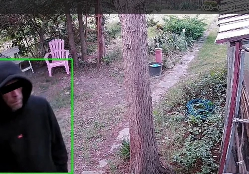 Nocni intruzi na ogródkach działkowych. Monitoring zarejestrował nieproszonego gościa