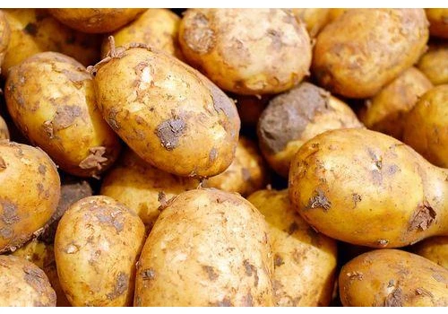 UOKiK nie potwierdził zawyżania marż. Problemem rynku ziemniaków są nadprodukcja i spadający popyt