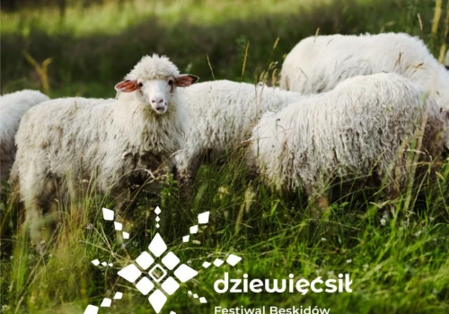 Festiwal „Dziewięćsił” ponownie w regionie. W Bielsku-Białej nocny spacer i górskie atrakcje