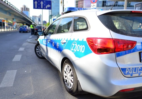 Kierowcy spoza UE na potęgę łamią przepisy. Mandatów jest jednak garstka