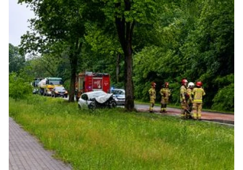 Piła-Dolaszewo: Renault uderzyło w drzewo. Kierowca trafił do szpitala