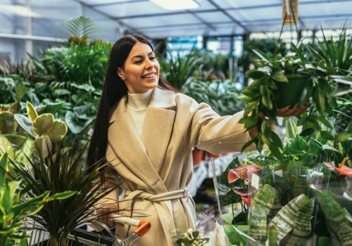Koniecznie zrób to z kwiatami z marketu. Inaczej zniszczą resztę roślin