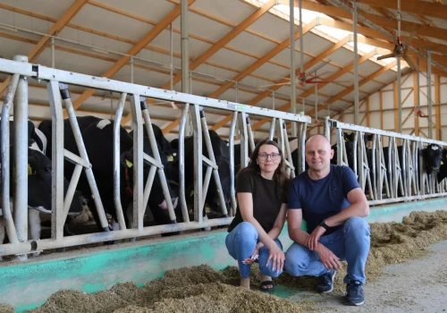 Zaczynali od 30 krów i 30 ha. Dziś mają oborę na 6 robotów udojowych