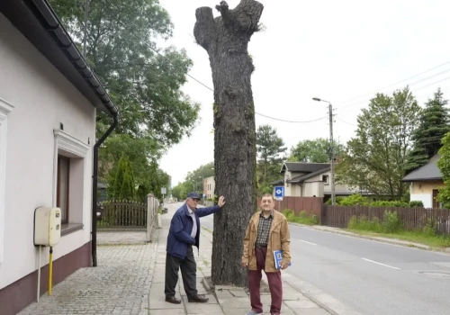 Mieszkańcy Niedzielisk protestują przeciwko wycince drzew