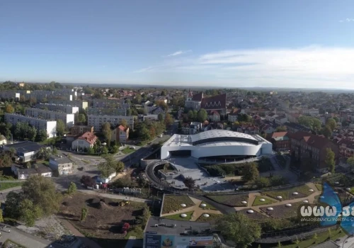 Blog: Anatomia politycznego celebryty