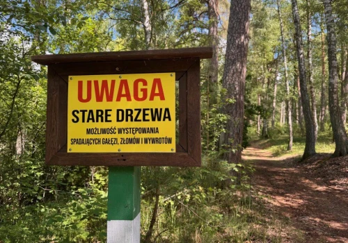Nie dajmy się zwariować z tymi wszystkimi ostrzeżeniami