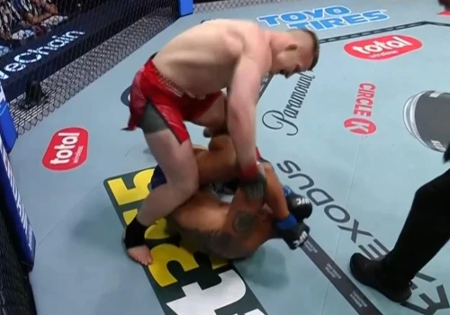85 sekund i po sprawie! Polak zniszczył kolejnego rywala w UFC