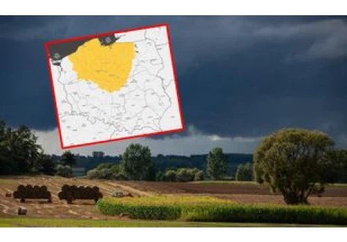 IMGW ostrzega przed burzami. Groźne porywy wiatru