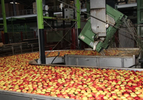 ARiMR otwiera nabór. Na producentów owoców i warzyw czekają pieniądze