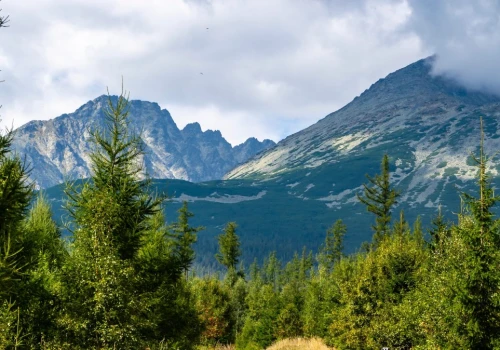 Najlepsza ścieżka rowerowa w Zakopanem. Jedziesz z widokiem na Giewont