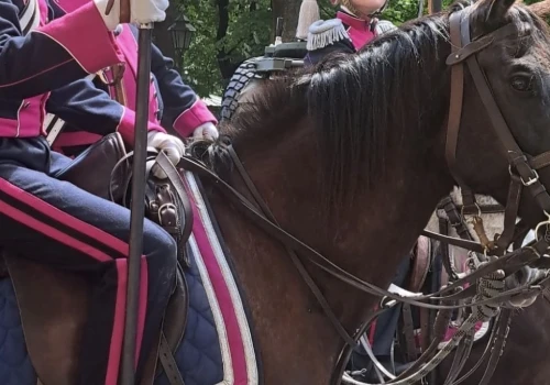 Zaginął koń ułanów. Niecodzienne poszukiwania w Krakowie
