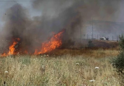 Osadnicy coraz śmielsi. Nowy pogrom na Zachodnim Brzegu