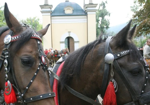 ​Poważny wypadek podczas pielgrzymki. Proboszcz ciężko ranny