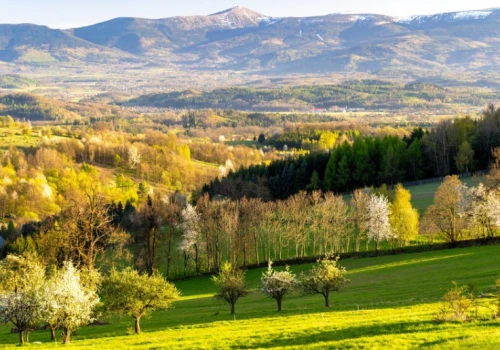 Nowe rezerwaty na Dolnym Śląsku. Zielona mapa regionu rośnie