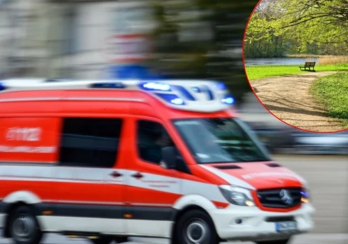 Dramat podczas spaceru po parku. Roczne dziecko zatruło się popularną rośliną